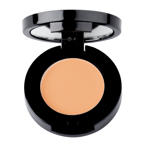 Stila_Stay_All_Day_Concealer_1375097597 (Custom)