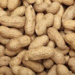 Peanuts. Close-up.