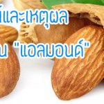 600×240