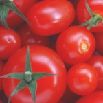tomatomask_2
