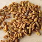 fenugreek-cropped
