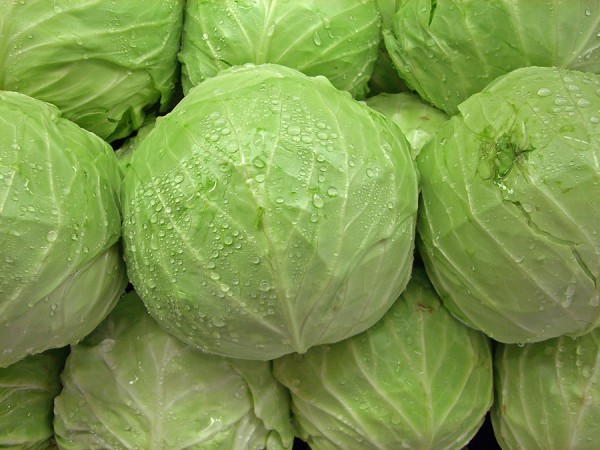 Cabbages