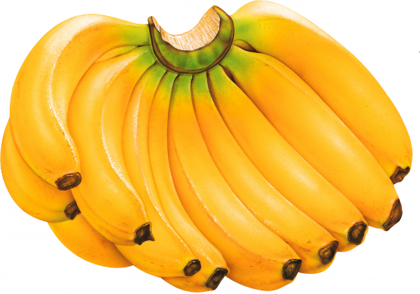 banana_PNG817