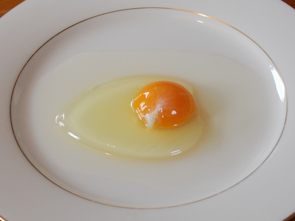 Chicken_egg01_monovular