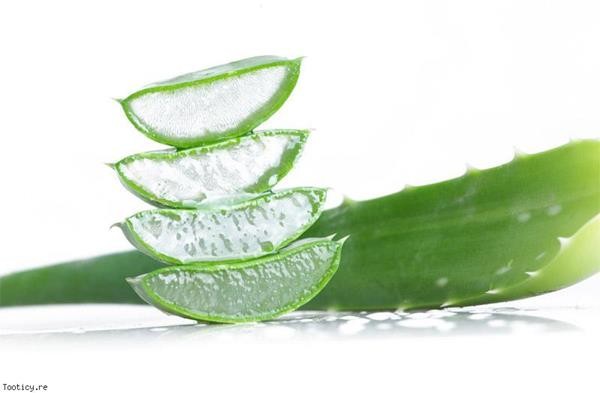 ALOE-VERA-a-1 (Copy)