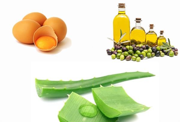 aloe-Vera-egg-olive-oil.