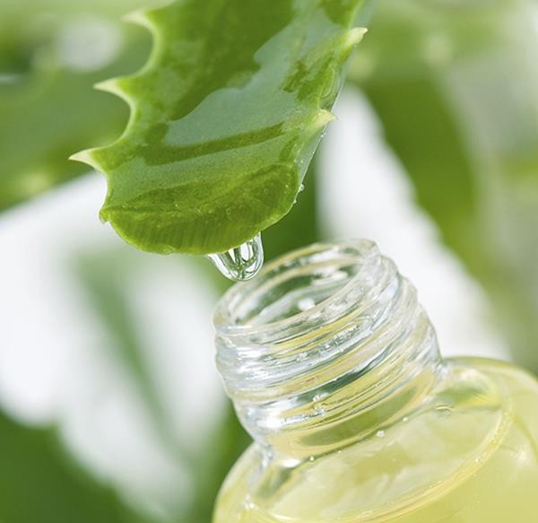 aloe-vera-for-face