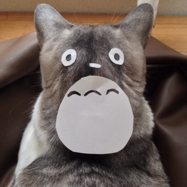 totoro4-630x630