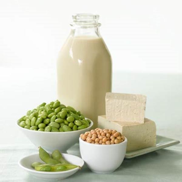 vegan-protein-400x400 (Copy)