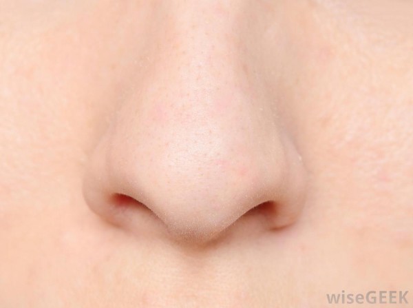 white-human-nose