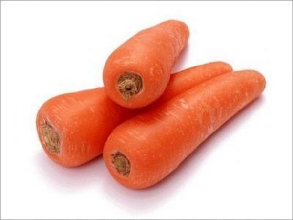 1.3-carrot02