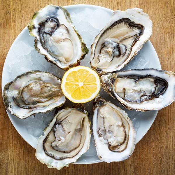 oysters