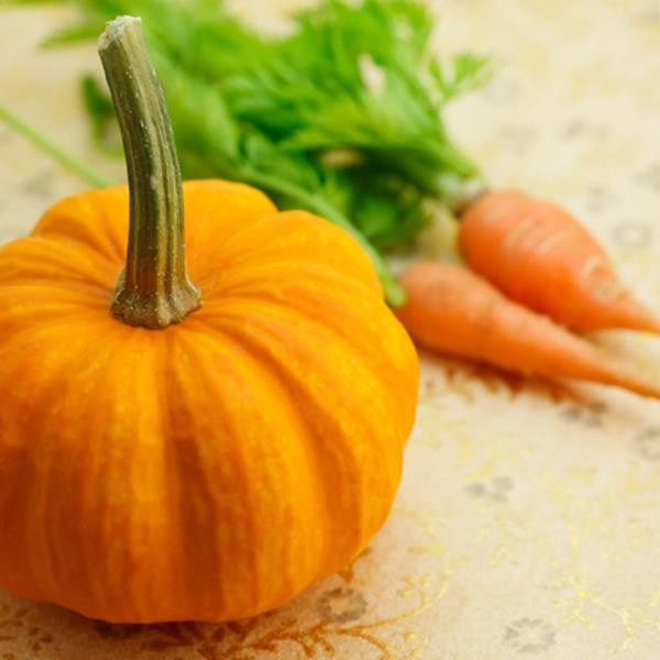 pumpkin-carrots