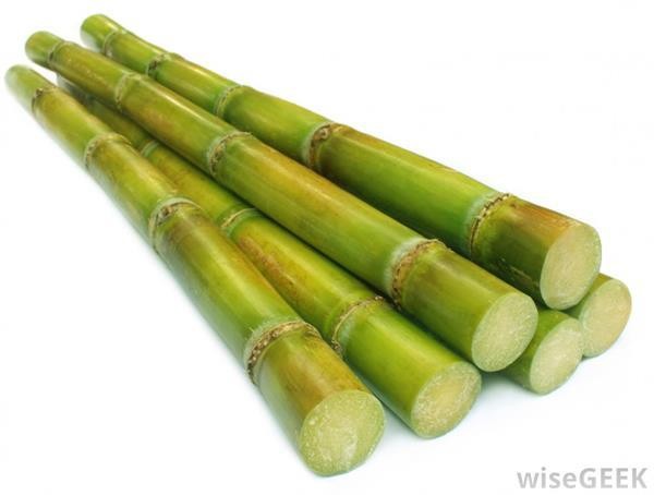 stalks-of-sugar-cane