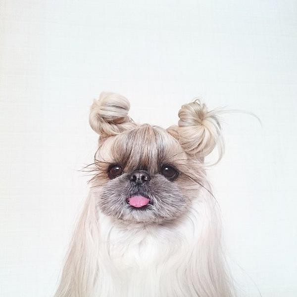 Double-topknots