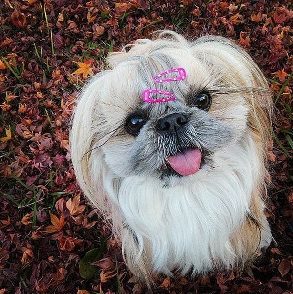 Matching-barrettes