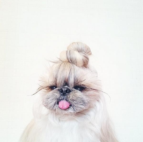 Topknot