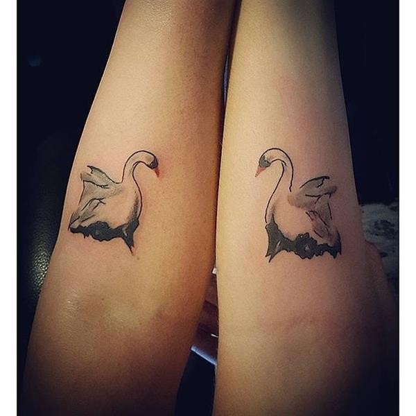 Swans