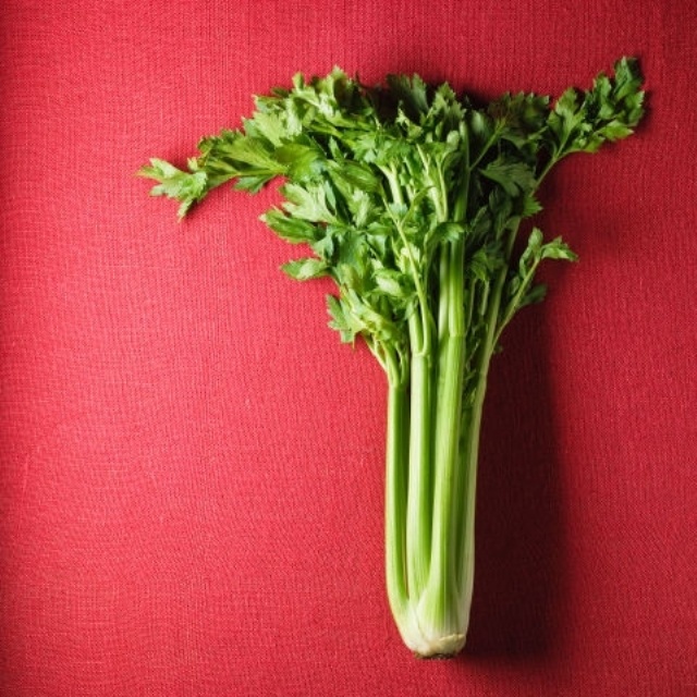 gallery-1474398053-celery-1474906421