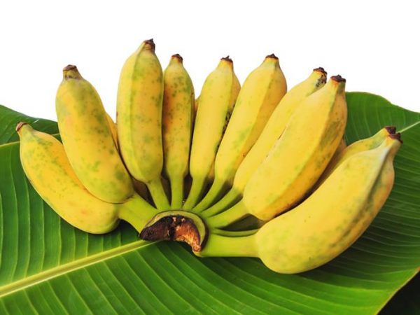 ThaiBanana