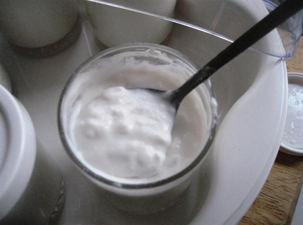 coconut-yogurt-close-up (Custom)
