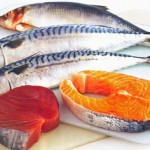 oily-fish-salmon-tuna-mackerel-other