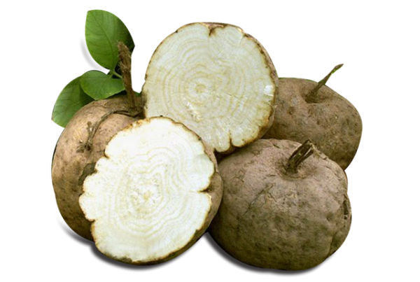 pueraria