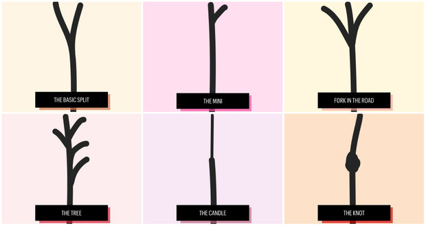 ผมแห้งเสียแตกปลายทั้ง 6 แบบ.. ที่บอกได้ว่า 'ผม' ของสาวๆกำลังมีปัญหาอะไร!! ผมแห้งเสียแตกปลายทั้ง 6 แบบ.. ที่บอกได้ว่า 'ผม' ของสาวๆกำลังมีปัญหาอะไร!!