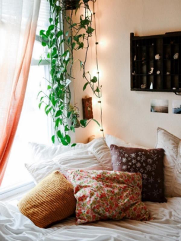 bedroom-plant
